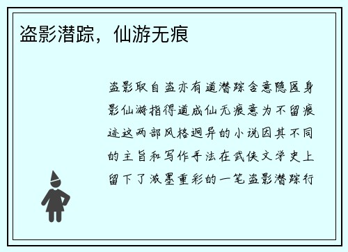 盗影潜踪，仙游无痕